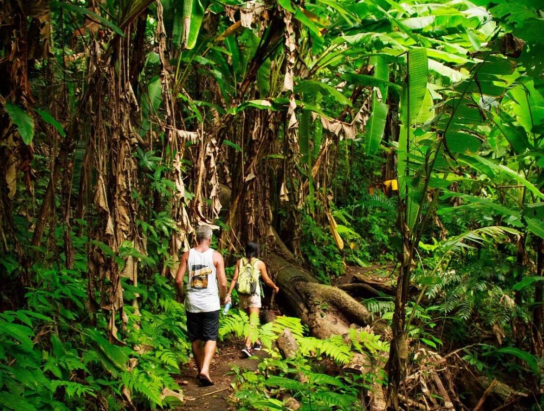  Khao Phra Thaeo Trek